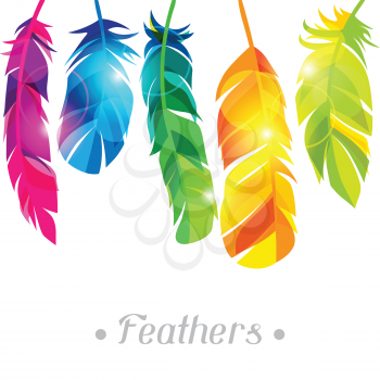Colorful background with bright abstract transparent feathers.