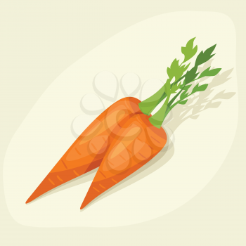 Stylized vector illustration of fresh ripe carrots.