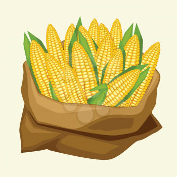 Illustration of stylized sack with fresh ripe corn cobs.