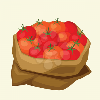 Illustration of stylized sack with fresh ripe tomatoes.