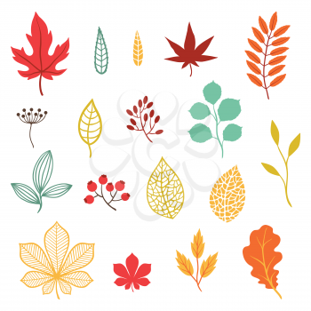 Set of various stylized autumn leaves and elements.