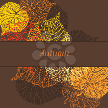 Background, greeting card with stylized autumn leaves.