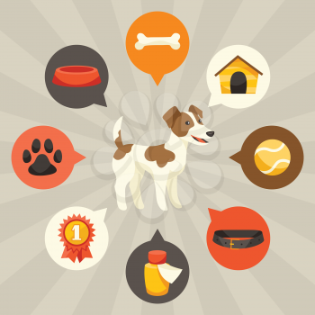 Visual infographics with cute dogs, icons and objects.