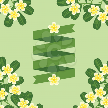 Tropical background with stylized plumeria flowers and ribbon.
