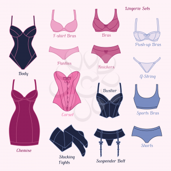 Fashion lingerie set of various female underwear.