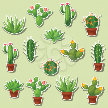 Cactuses and plants abstract natural seamless pattern.