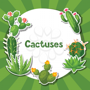 Cactuses and plants abstract natural background design.