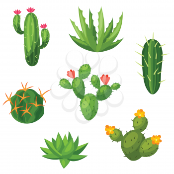 Collection of abstract cactuses and plants. Natural illustration.
