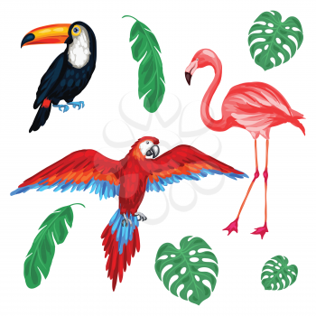 Set of tropical birds and palm leaves.