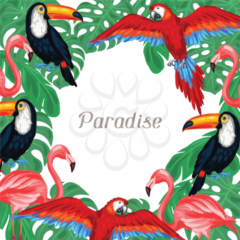 Tropical birds background design with palm leaves.