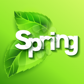 Spring illustration with green leaves. Card template or ecology concept of floral design for packaging, greeting cards and advertising. 