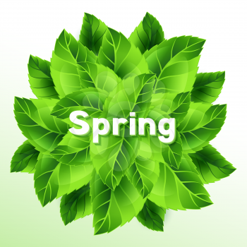 Spring illustration with bunch of green leaves. Card template or ecology concept floral design for packaging, greeting cards and advertising. 