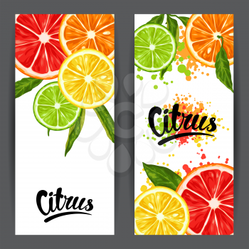Banners with citrus fruits slices. Mix of lemon lime grapefruit and orange.