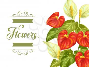 Greeting card with flowers spathiphyllum and anthurium.