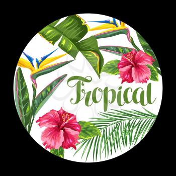 Background with tropical leaves and flowers. Palms branches, bird of paradise flower, hibiscus.