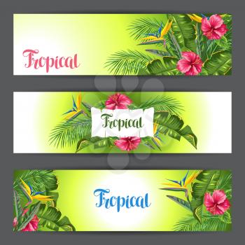 Banners with tropical leaves and flowers. Palms branches, bird of paradise flower, hibiscus.