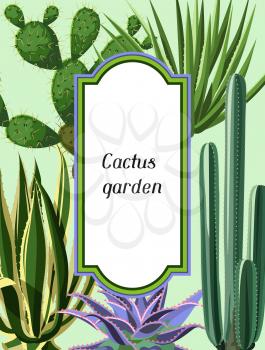 Frame with cactuses and succulents set. Plants of desert.