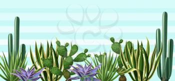 Background with cactuses and succulents set. Plants of desert.