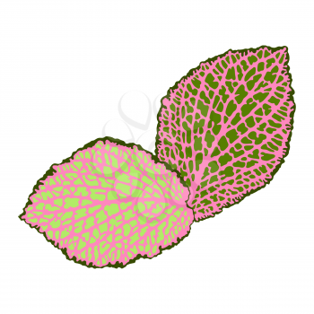 Decorative leaves isolated. Natural detailed abstract illustration.