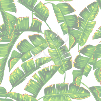 Seamless pattern with banana palm leaves. Decorative tropical foliage.