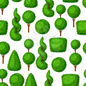 Boxwood topiary garden plants. Seamless pattern with decorative trees.