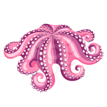 Octopus. Isolated illustration of seafood on white background.