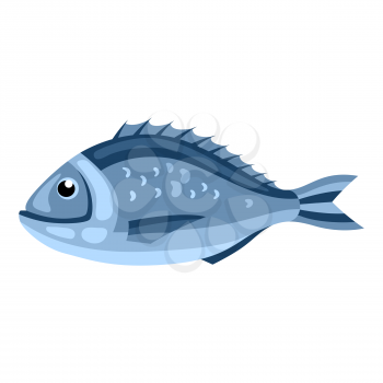 Dorada fish. Isolated illustration of seafood on white background.