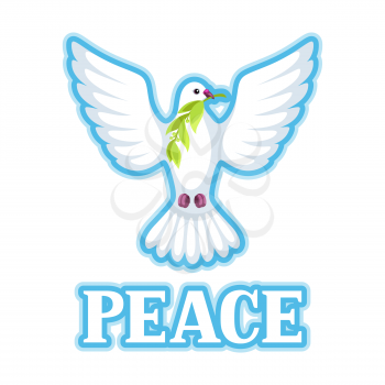 White dove of peace bears olive branch.