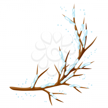 Winter branch of tree and snow. Seasonal illustration.