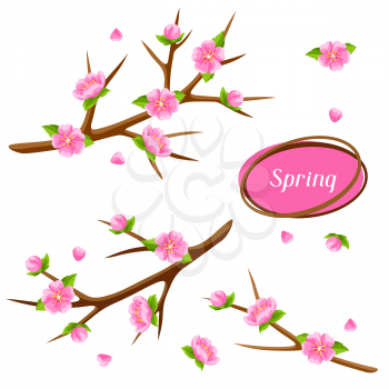 Spring set with branches of tree and sakura flowers. Seasonal illustration.