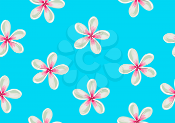 Seamless pattern with plumeria flowers. Decorative ornament.