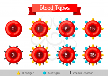 Set of blood cells types. Medical and healthcare infographic.