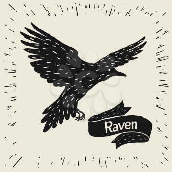 Background with black flying raven. Hand drawn inky bird and ribbon.