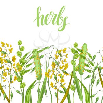 Seamless border with herbs and cereal grass. Floral ornament of meadow plants.