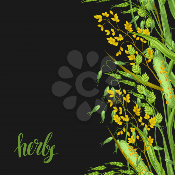 Seamless border with herbs and cereal grass. Floral ornament of meadow plants.