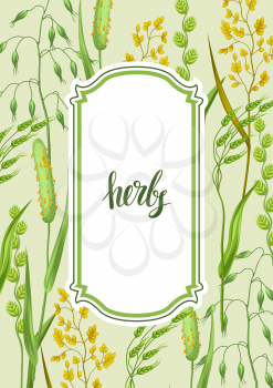 Frame with herbs and cereal grass. Floral design of meadow plants.