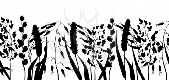 Seamless border with herbs and cereal grass silhouettes. Floral ornament of meadow plants.