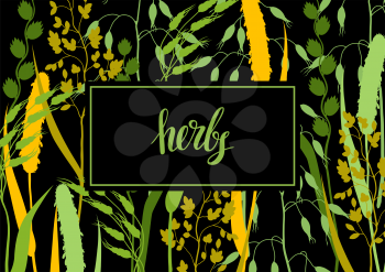 Background with herbs and cereal grass silhouettes. Floral design of meadow plants.
