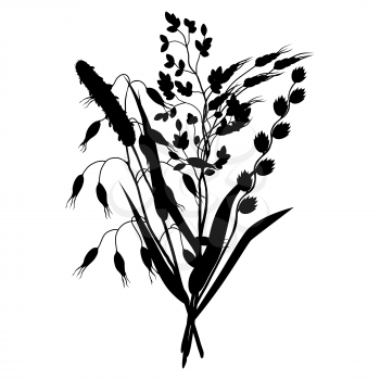 Bouquet with herbs and cereal grass silhouettes. Floral design of meadow plants.