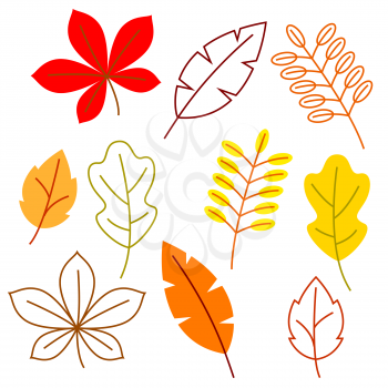 Set of stylized autumn foliage. Falling leaves in simple style.