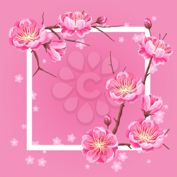 Frame with sakura or cherry blossom. Floral japanese ornament of blooming flowers.