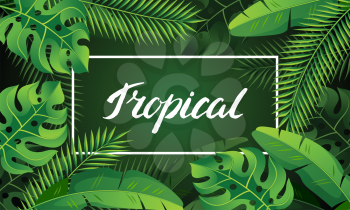 Banner with tropical palm leaves. Exotic tropical plants. Illustration of jungle nature.