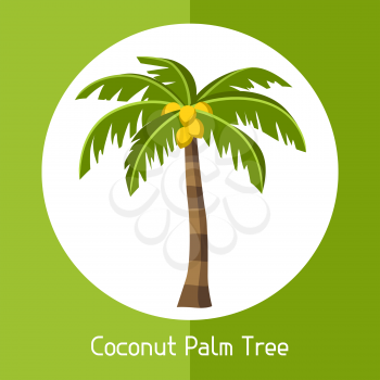 Coconut palm tree. Illustration of exotic tropical plant.