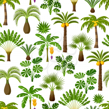 Seamless pattern with tropical palm trees. Exotic tropical plants Illustration of jungle nature.