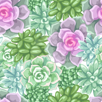Seamless pattern with succulents. Echeveria, Jade Plant and Donkey Tails.