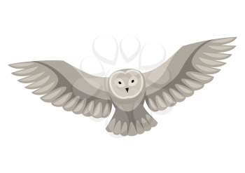 Stylized illustration of owl. Woodland forest animal on white background.