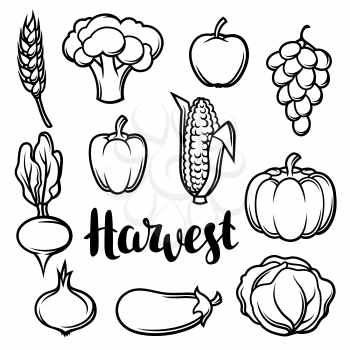 Harvest set of fruits and vegetables. Autumn seasonal illustration.
