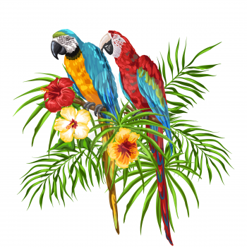 Illustration of macaw parrots. Tropical exotic bird, palm leaves and hibiscus flowers.
