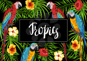 Tropical background with parrots. Palm leaves, hibiscus flowers and exotic birds.