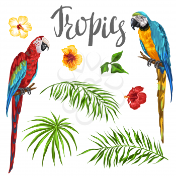 Set of tropical plants and parrots. Palm leaves, hibiscus flowers and exotic birds.